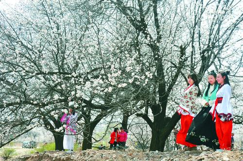 小九直播NBA乐悠